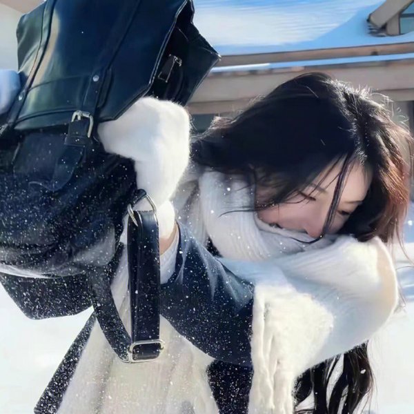 美丽的囚徒